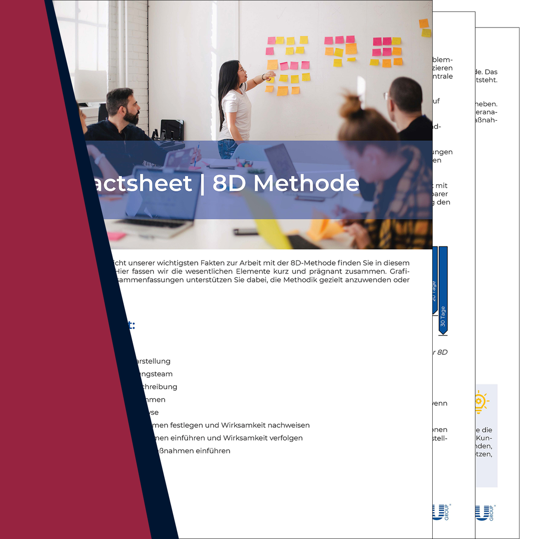 Factsheet | 8D Methode
