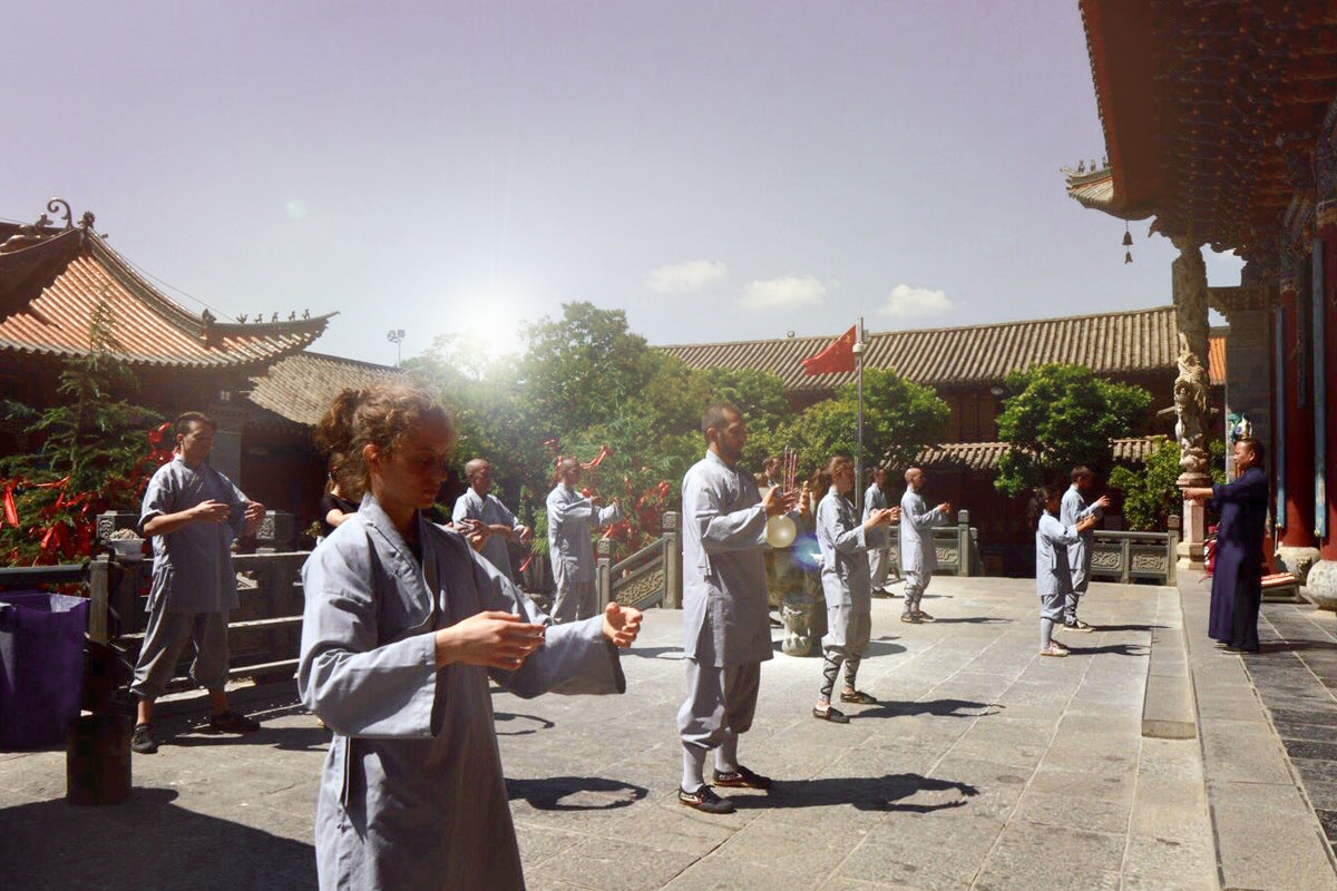 Shaolin Kung Fu Training | Der Weg des Shaolin - TQU GROUP