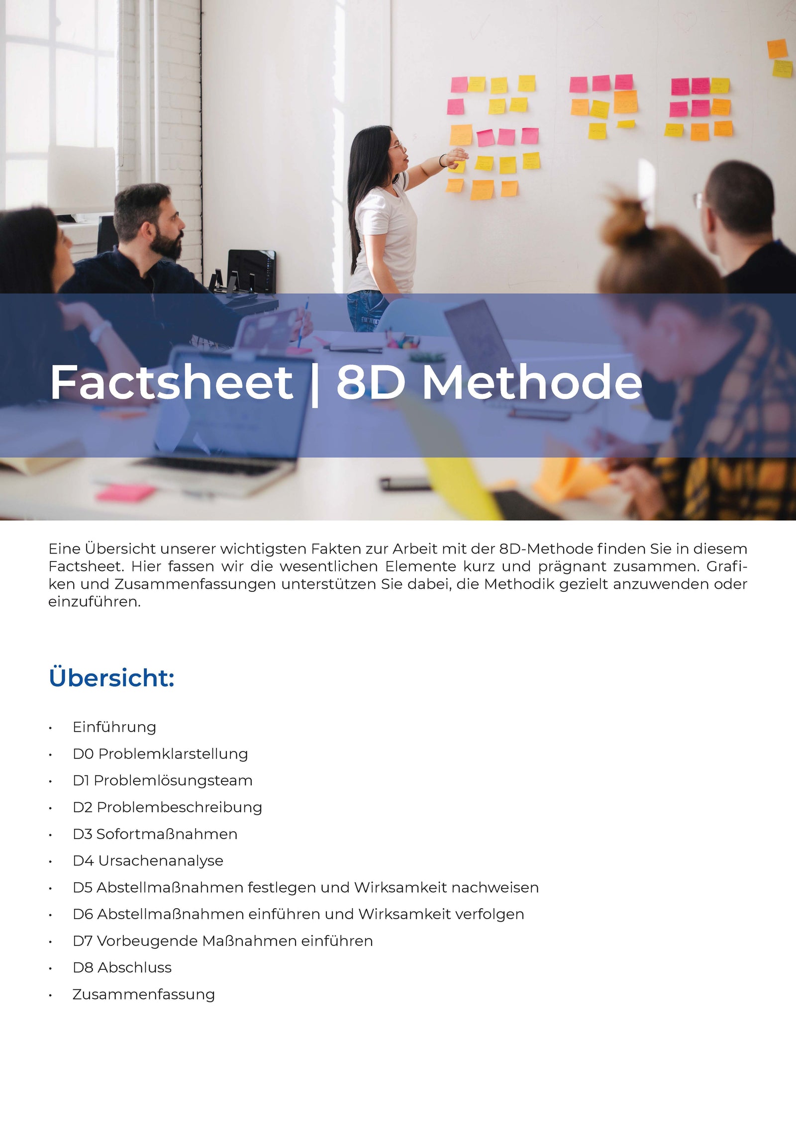 Factsheet | 8D Methode