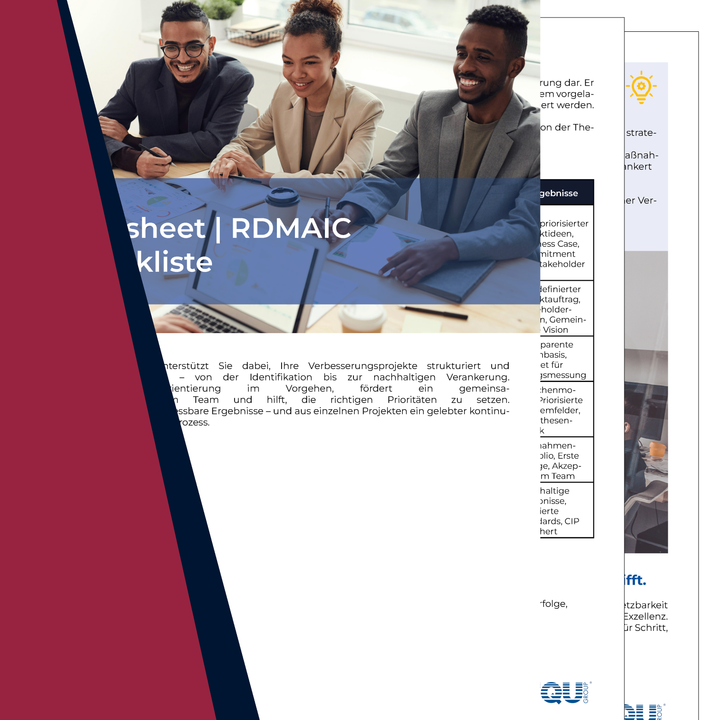 Factsheet | RDMAIC Checkliste